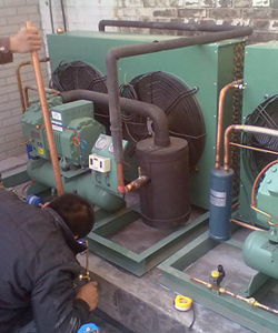 冷庫(kù)安裝實(shí)例 冷庫(kù)安裝實(shí)例